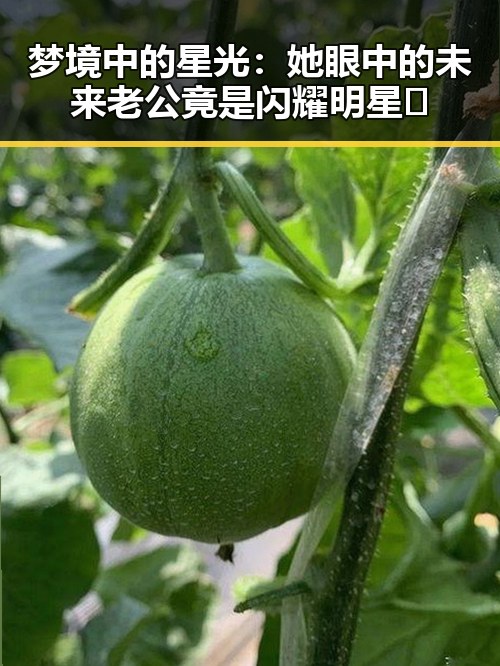梦境中的星光：她眼中的未来老公竟是闪耀明星✨