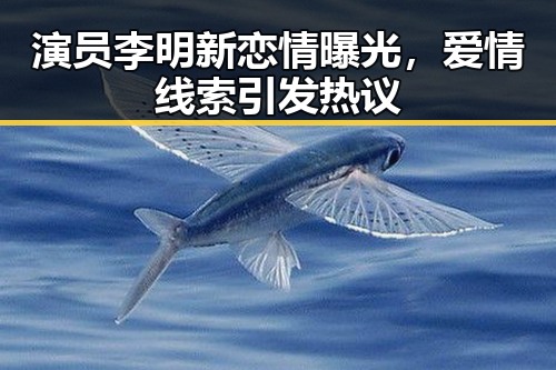 演员李明新恋情曝光，爱情线索引发热议